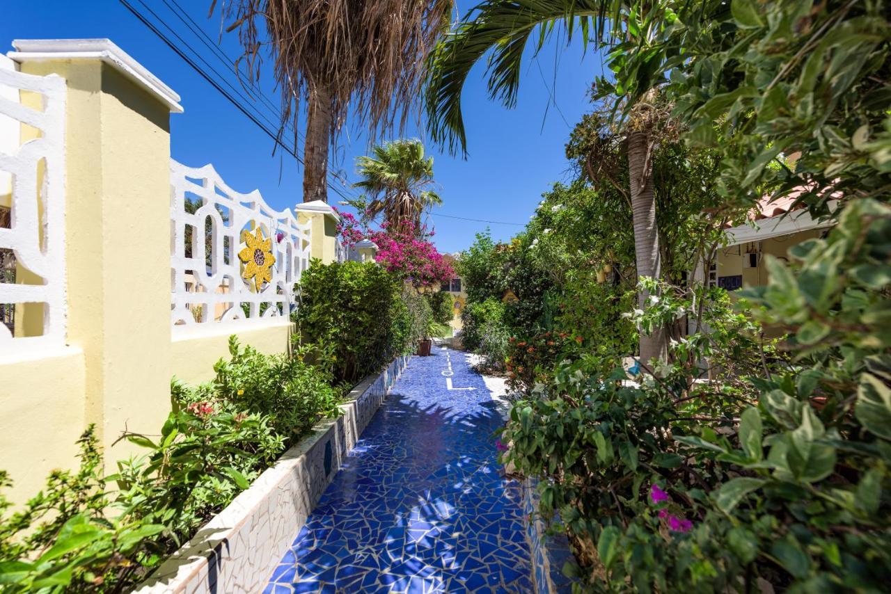 Sunflower Villa Studios Palm Beach Kültér fotó