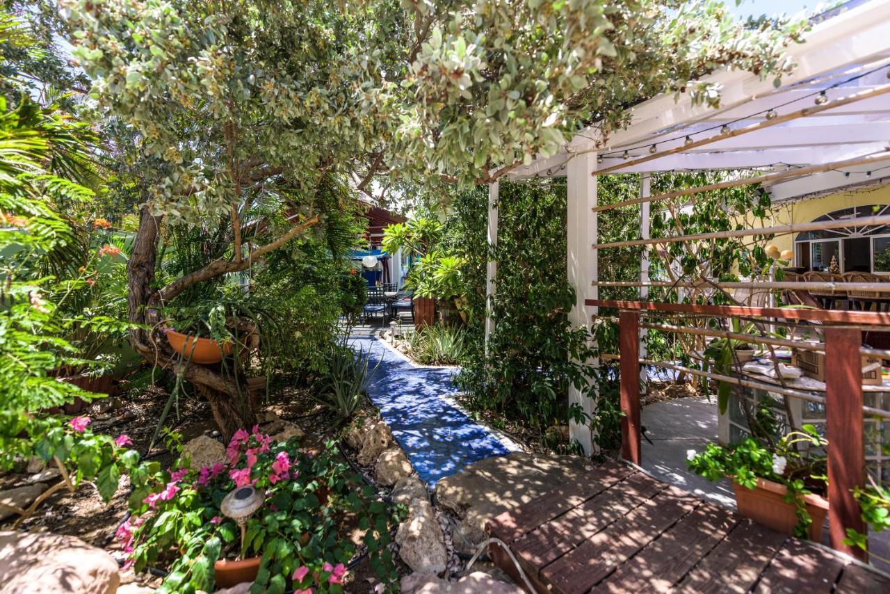 Sunflower Villa Studios Palm Beach Kültér fotó