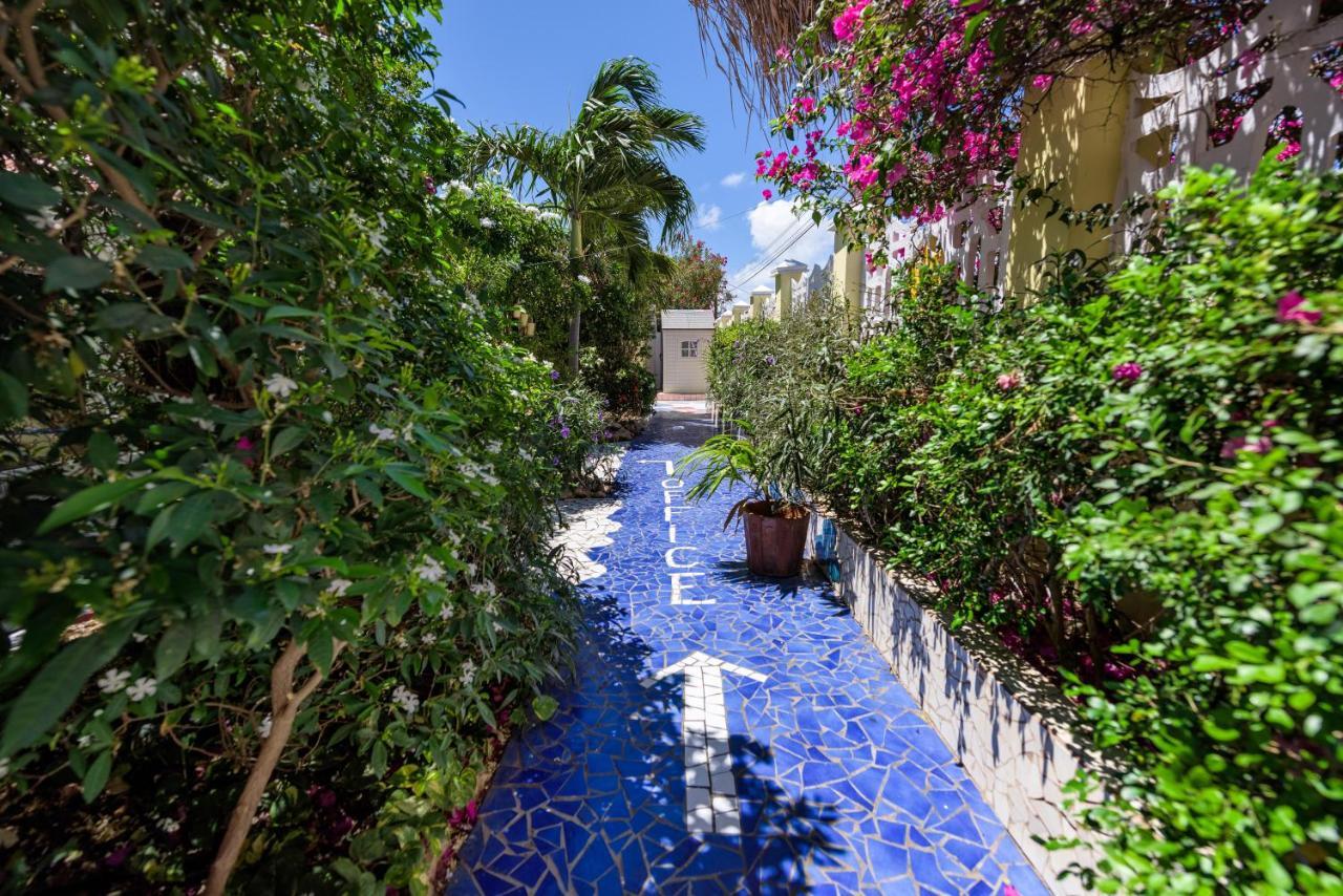 Sunflower Villa Studios Palm Beach Kültér fotó
